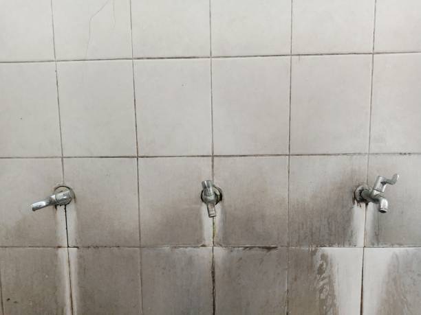 Best Professional water damage repair  in Barboursville, WV