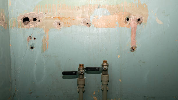 Best Flood restoration services  in Barboursville, WV