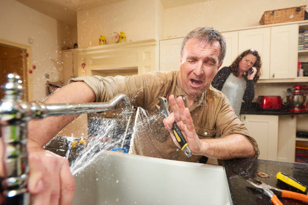 Best Water damage contractors near me  in Barboursville, WV